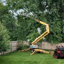 Best Tree Mulching  in Lansdowne, VA