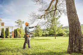 How Our Tree Care Process Works  in  Lansdowne, VA