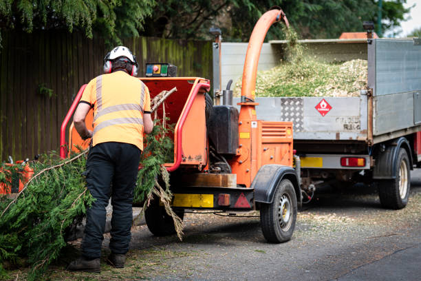 Best Aeration Services  in Lansdowne, VA