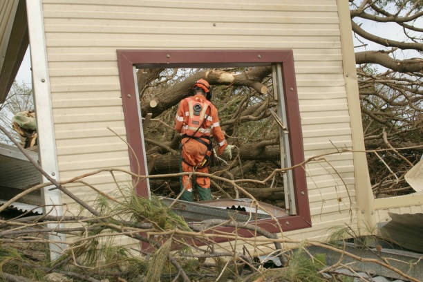 Best Tree Cabling and Bracing  in Lansdowne, VA