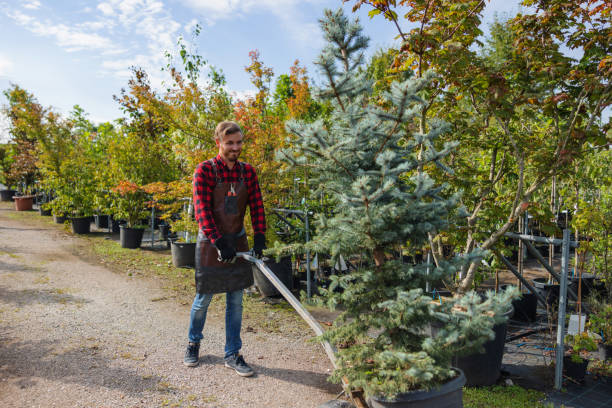  Lansdowne, VA Tree Care Services Pros